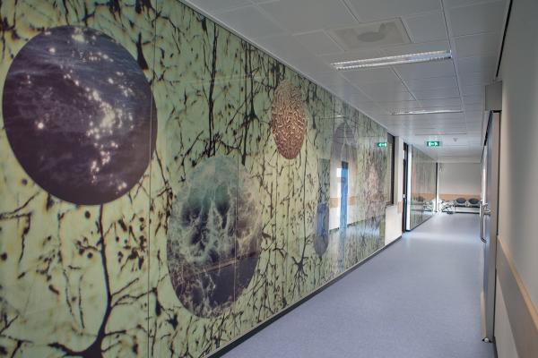 Concept 70 Colllection Ultimate Papilio 673