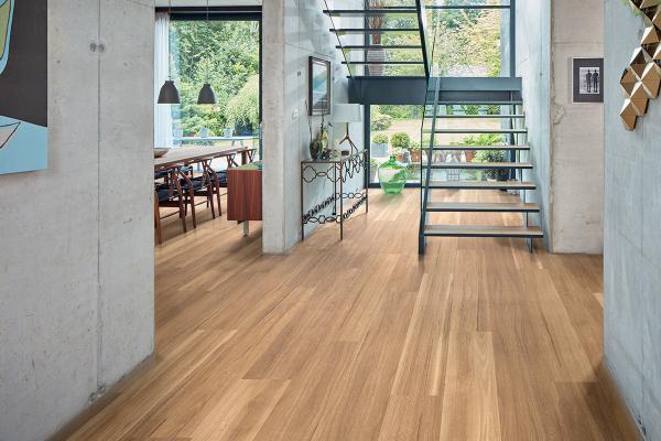 LLP317 Lemon Spotted Gum Hallway LS1 CM